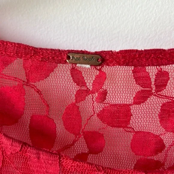 SOLD Free People Floral Mesh Lace Dress - Picture 8 of 12